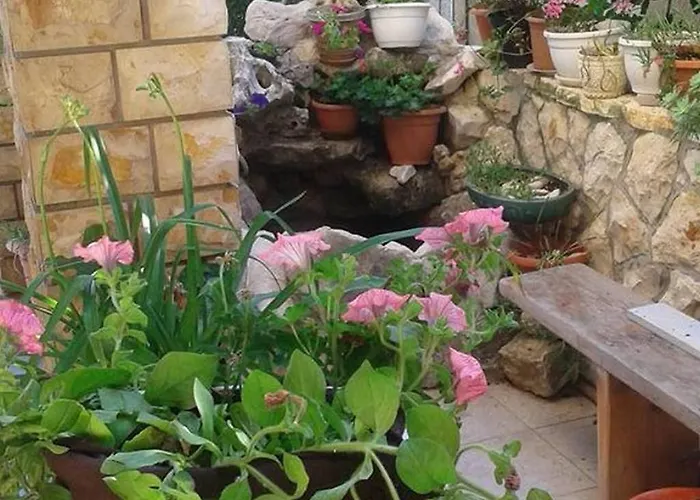 By The Sea Nin, Zadar - 15842 * נין